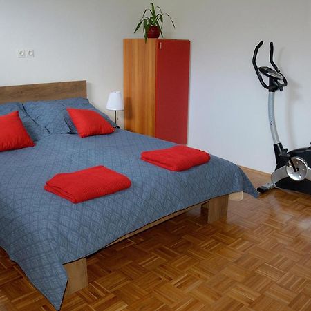 Apartma Vidmar Шенчур Екстер'єр фото